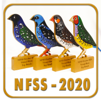 NFSS 2020 КЛК 1